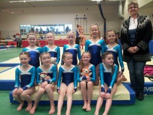 5. þreps liðin á Bikarmóti í áhaldafimleikum