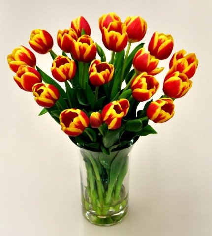 Stórafmæli félagsmanna