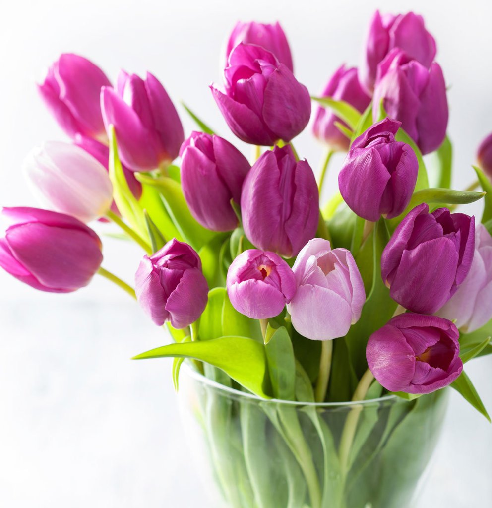 KA keyrir heim konudagsblóm og rúnstykki