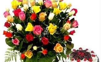 Stórafmæli í febrúar