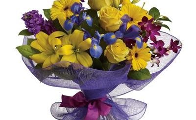 Stórafmæli í september