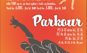 Meira um stöðuna á parkour- og leikjanámskeiðum FIMAK