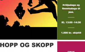 Hopp og skopp námskeið