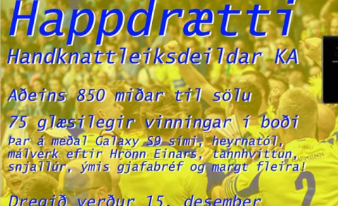 Vinningshafar í happdrætti handboltans