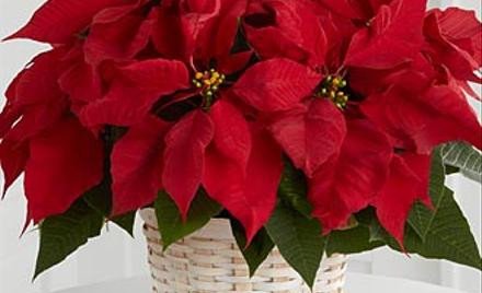 Stórafmæli félagsmanna