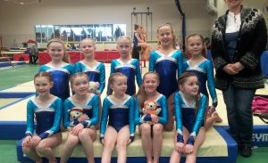 5. þreps liðin á Bikarmóti í áhaldafimleikum