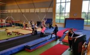 Örnámkskeið þjálfara og sérgreinanámskeið FSÍ 1C