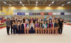 Frábær árangur á Þrepamóti FSÍ