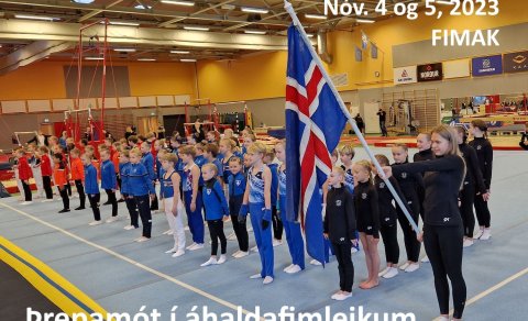 Þrepamót í áhaldafimleikum