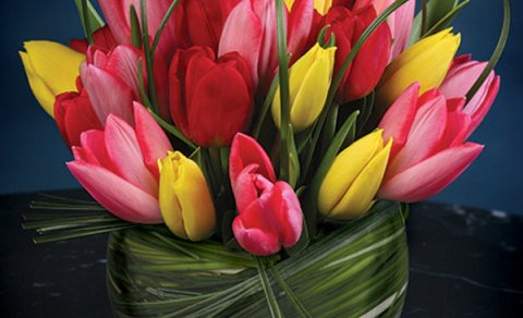 Stórafmæli félagsmanna