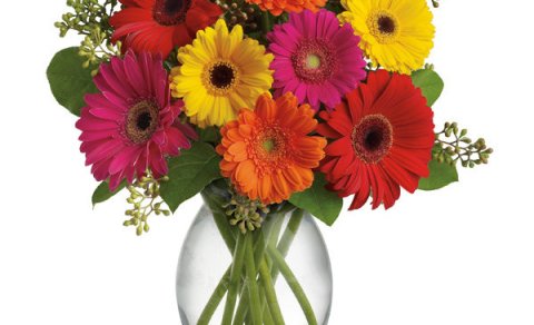 Stórafmæli félagsmanna í júní