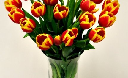 Stórafmæli félagsmanna