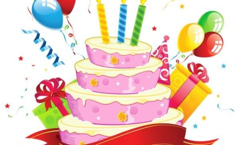 Leiga á fimleikasalnum fyrir afmæli