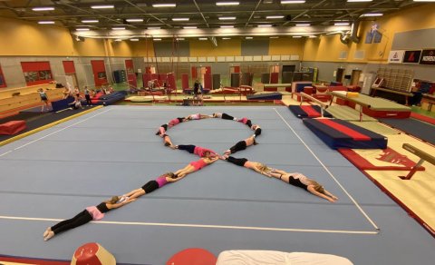 Hópfimleikar 1. og 2. flokkur