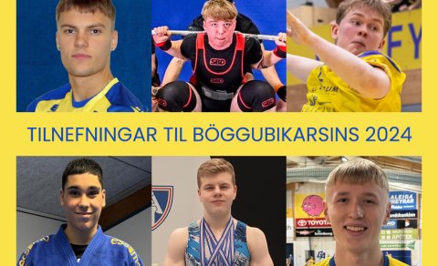 Tilnefningar til Böggubikars drengja 2024