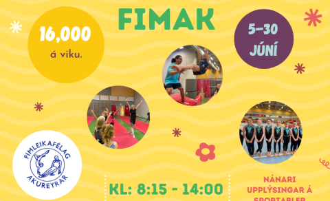 Fim-leikjaskóli FIMAK