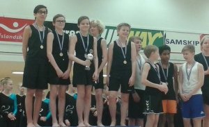 Bikarmeistarar í stökkfimi 2015