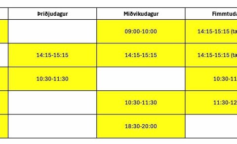 Sumaræfingatafla handknattleiksdeildar